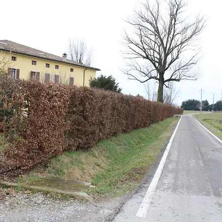 Temenos * Parma