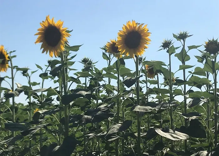 Temenos Bed & Breakfast